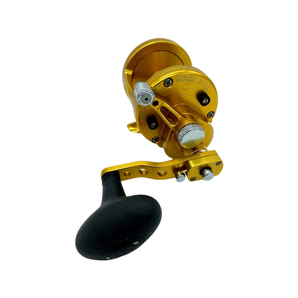 Avet MXL 6/4 MC Gold
