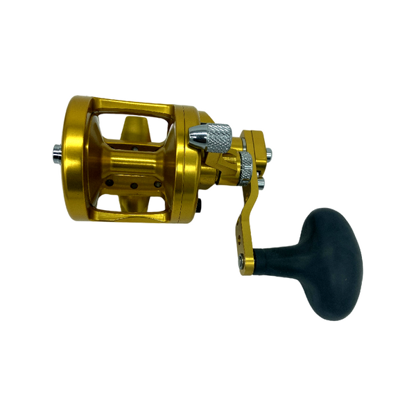 Avet SX 6/4 Gold