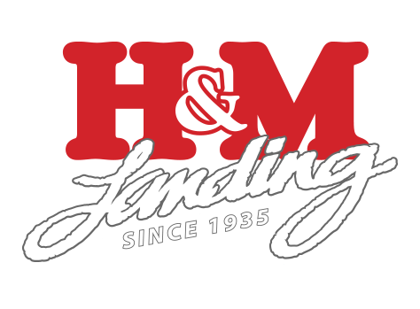 H&M Landing Store